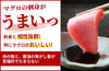【再仕込み】「大鉄砲再仕込み醤油 円熟」の商品画像2