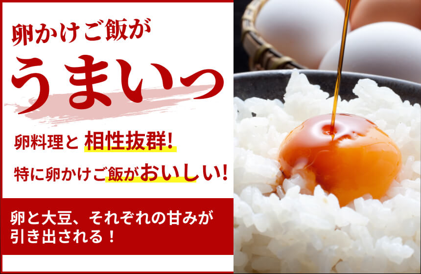【淡口】「大鉄砲うすくち醤油」の商品画像2