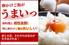 【淡口】「大鉄砲うすくち醤油」の商品画像2