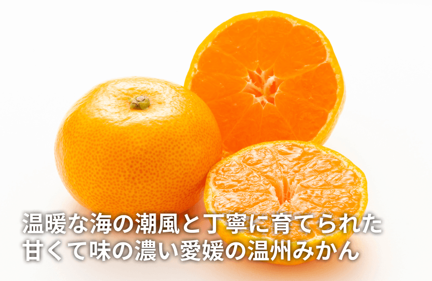 【伊方町産】あべさん家のみかん「温州みかん」の商品画像1