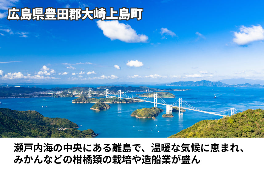 【濃口】「濃口醤油」の商品画像6