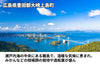 【濃口】「濃口醤油」の商品画像6