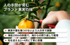 【伊方町産】あべさん家のみかん「不知火」|愛媛県西宇和郡伊方町の商品画像4