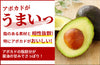 【白】伊勢蔵「木桶仕込み　白醤油」の商品画像2