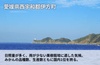 【伊方町産】あべさん家のみかん「不知火」|愛媛県西宇和郡伊方町の商品画像5