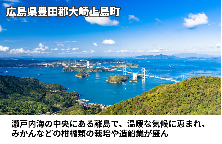 【再仕込み】再仕込醤油の商品画像6
