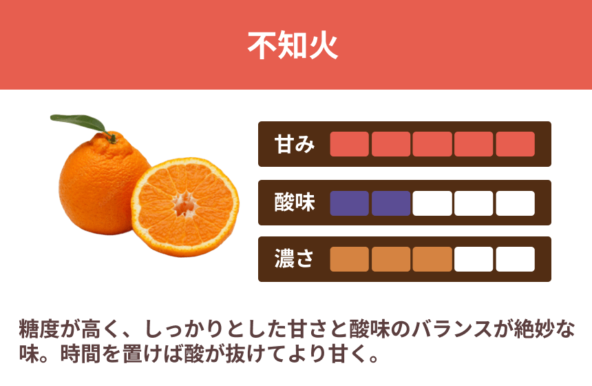 【伊方町産】あべさん家のみかん「不知火」|愛媛県西宇和郡伊方町の商品画像2