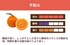 【伊方町産】あべさん家のみかん「不知火」|愛媛県西宇和郡伊方町の商品画像2