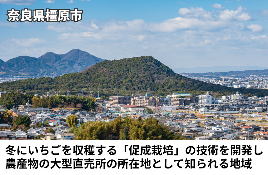 「かんきつクラフトコーラの素」の商品画像5