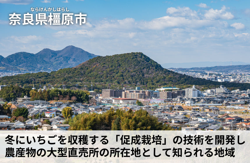 「りんごクラフトコーラの素」の商品画像5