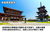 【濃口】「イゲタ 濃口醤油」の商品画像6