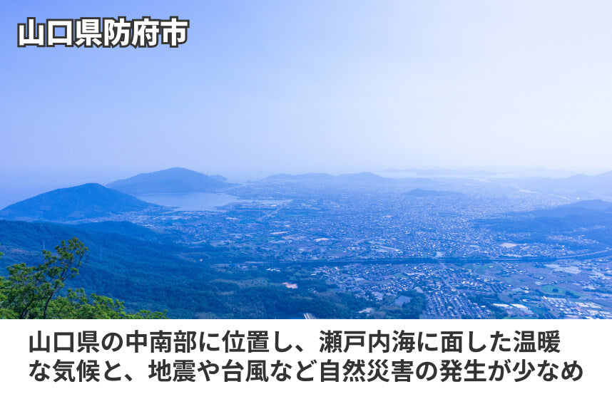 【濃口】「うまくち」の商品画像6
