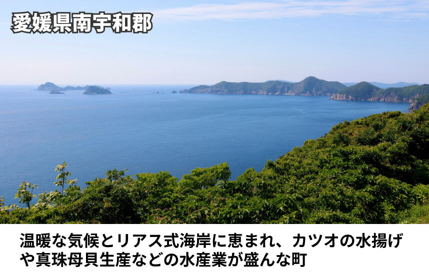 【その他】「愛南ゴールドポン酢」の商品画像6