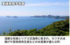 【濃口】さしみ醤油の商品画像6