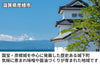 【濃口】「日日是好日」の商品画像7