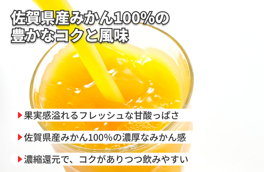 【鹿島市産】ジェイエイビバレッジ佐賀「みかん100」の商品画像3