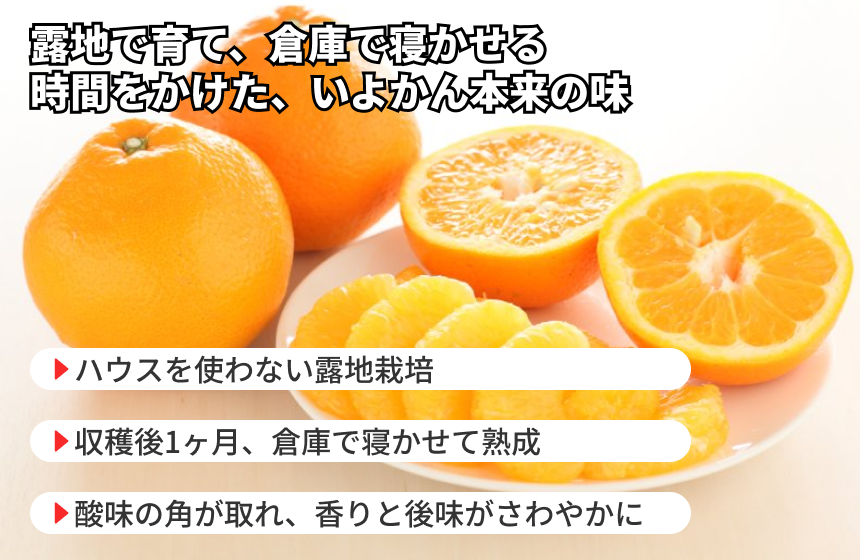 【松山市産】きりぬき「いよかん」|愛媛県松山市の商品画像4