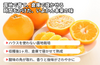【松山市産】きりぬき「いよかん」|愛媛県松山市の商品画像4