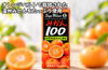【鹿島市産】ジェイエイビバレッジ佐賀「みかん100」の商品画像1