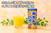【鹿島市産】ジェイエイビバレッジ佐賀「みかん＆パイン」の商品画像1