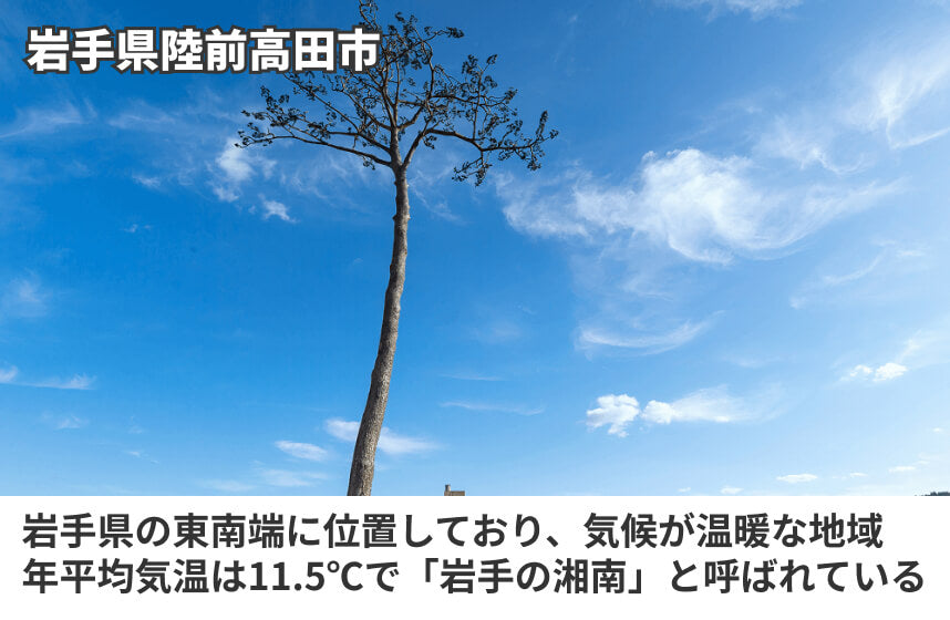 【濃口】「奇跡の醤」の商品画像6