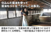 【再仕込み】「かけ醤油　紅梅」の商品画像5