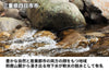 【溜】伊勢蔵「木桶仕込み 丸大豆醤油 響」の商品画像6
