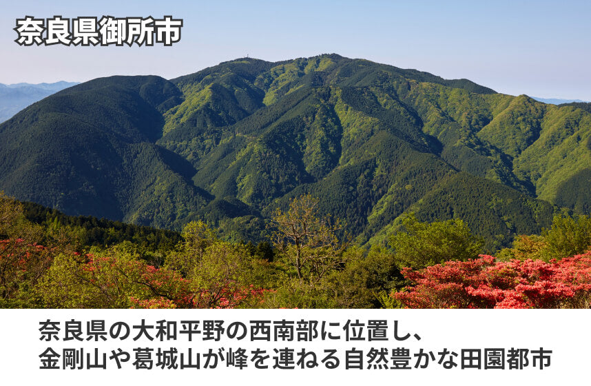 【淡口】「大鉄砲うすくち醤油」の商品画像6