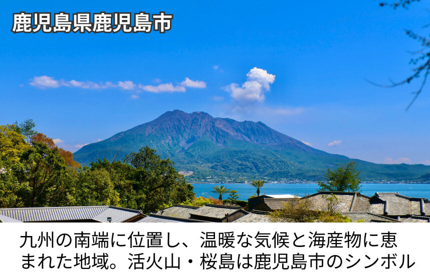 【濃口】「極あまくち専醤」の商品画像6
