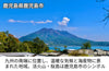 【濃口】「極あまくち専醤」の商品画像6