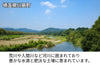 【濃口】「金笛 減塩醤油」の商品画像6