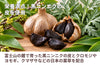 「富士玄」の商品画像4