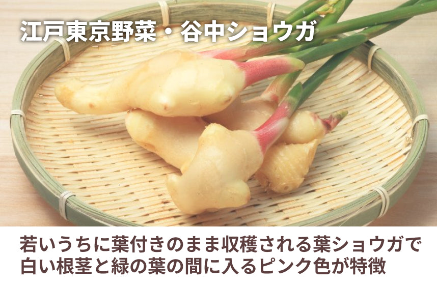 「谷中クラフトコーラシロップ 江戸東京野菜 谷中ショウガ特別仕込」の商品画像4