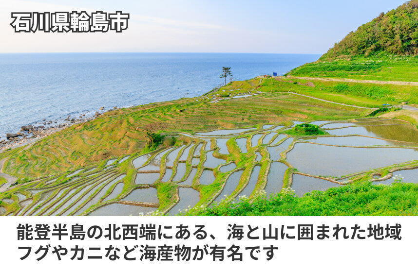 【濃口】「サクラ醤油こいくち（鶴）　」の商品画像6