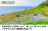 【濃口】「サクラ醤油こいくち（鶴）　」の商品画像6