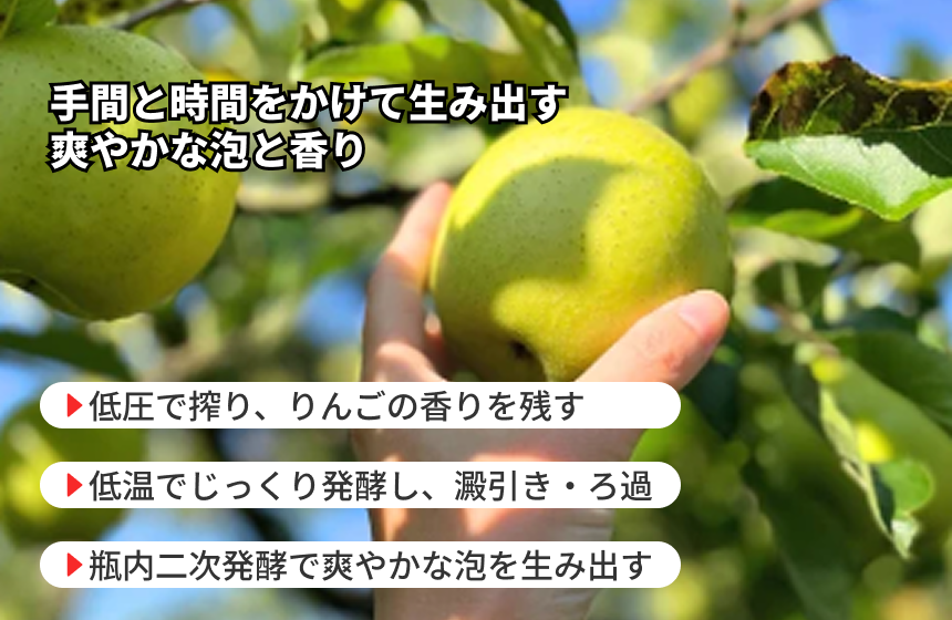 【大船渡市産】THREE PEAKS「りんご屋まち子のアップルシードル」の商品画像4