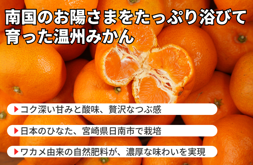 【日南市産】ネイバーフッド 「温州みかん」|宮崎県日南市の商品画像4