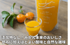 【日南市産】ネイバーフッド「まる搾りみかんジュース」の商品画像1