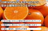 【松山市産】きりぬき「うんしゅうみかん」の商品画像4