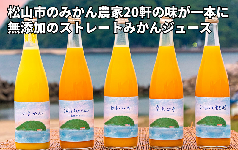 の商品画像