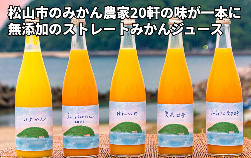 【松山市産】きりぬき「うんしゅうみかん」の商品画像1
