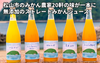 【松山市産】きりぬき「うんしゅうみかん」の商品画像1