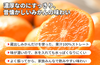 【海南市産】鈴木農園「蔵出しみかんのストレートジュース」の商品画像3