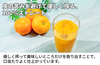 【海南市産】鈴木農園「蔵出しみかんのストレートジュース」の商品画像5