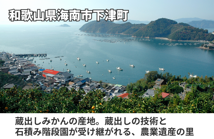 【海南市産】鈴木農園「蔵出しみかんのストレートジュース」の商品画像6