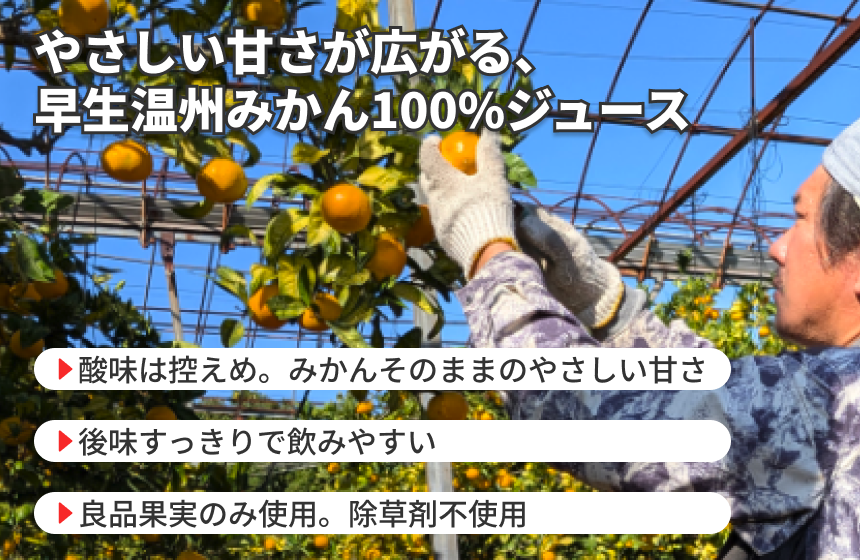 「早生100％ストレートジュース」の商品画像3