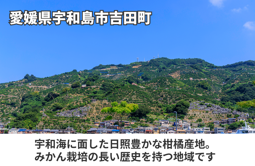 「早生100％ストレートジュース」の商品画像5
