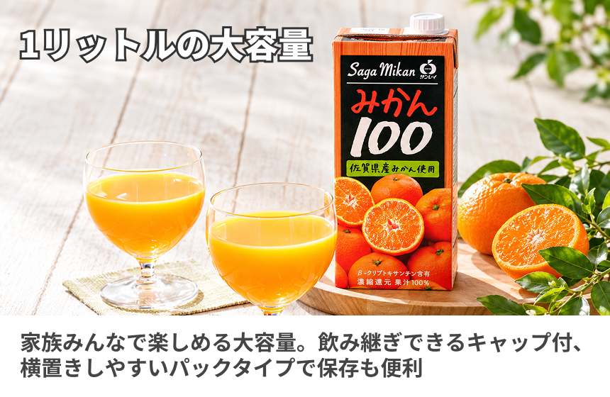 【鹿島市産】ジェイエイビバレッジ佐賀「みかん100」の商品画像4