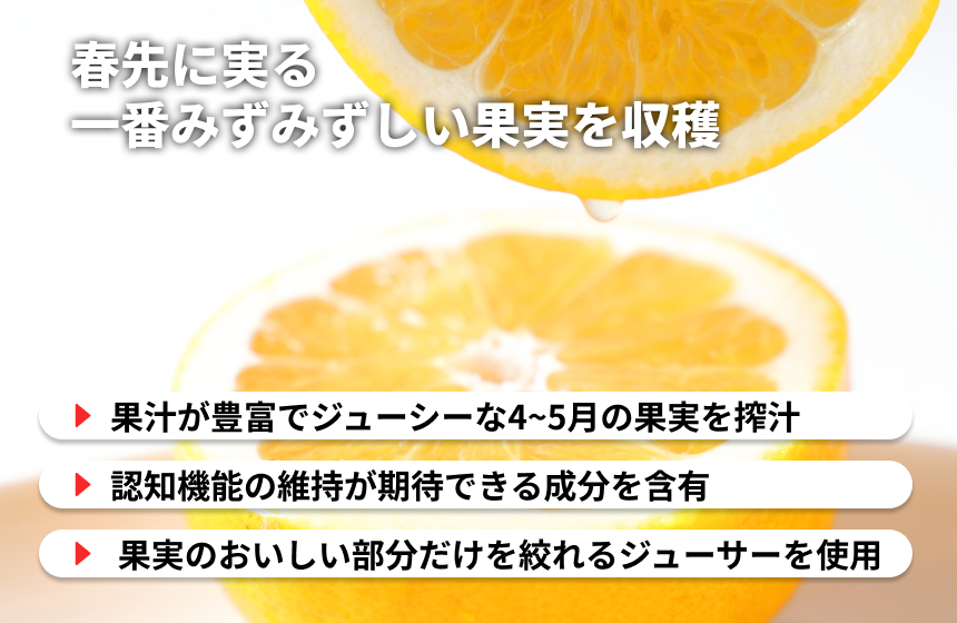 【長与町産】山口柑橘園「長与みかん KAWACHI BANKAN」の商品画像3