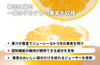 【長与町産】山口柑橘園「長与みかん KAWACHI BANKAN」の商品画像3